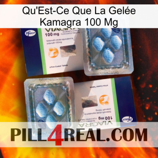 What Is Kamagra Jelly 100Mg viagra5